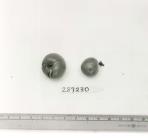 Click for 1 image(s) for this accession. FRUIT